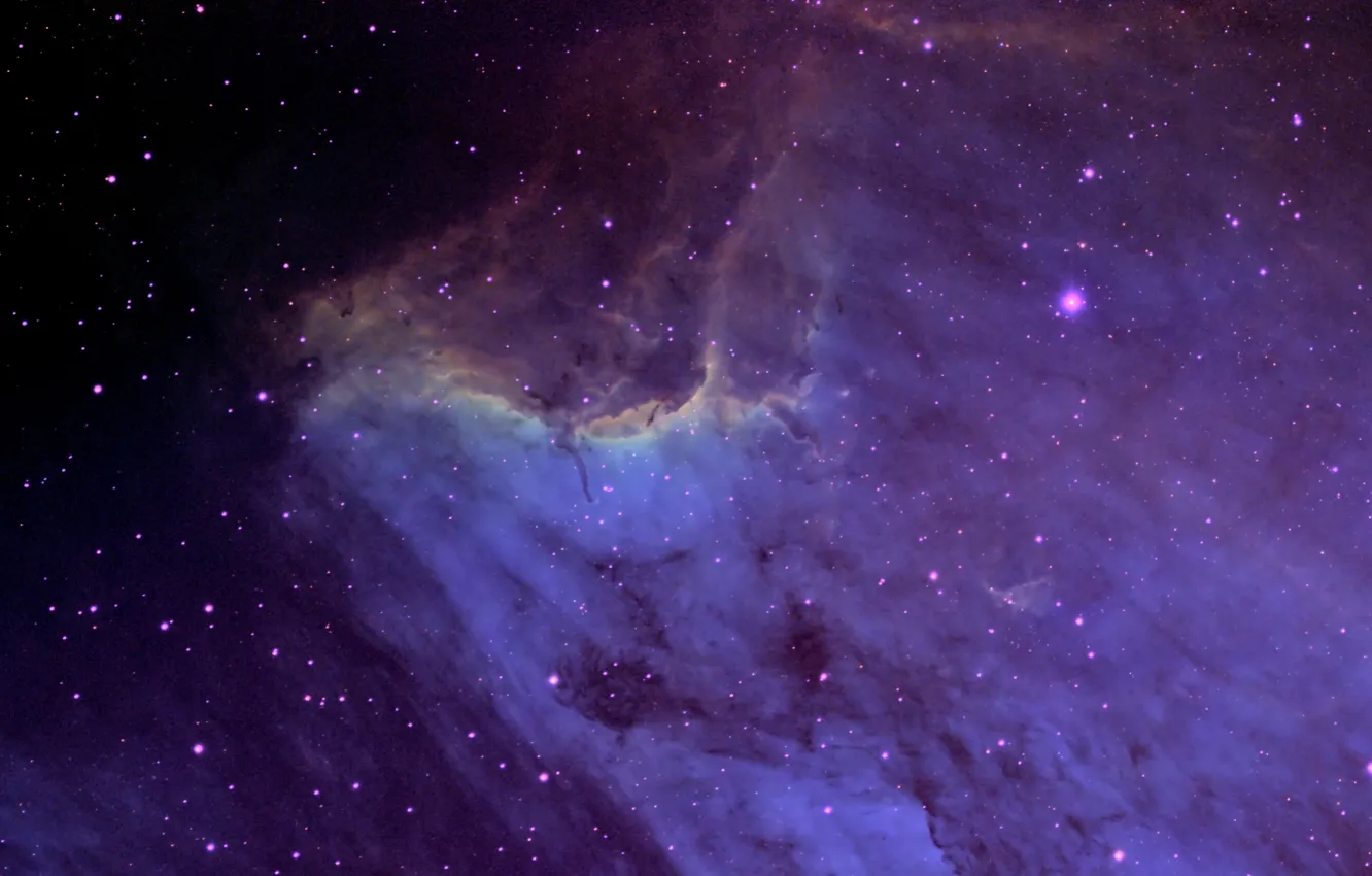 Photo wallpaper nebula, in the constellation, Swan, Pelican