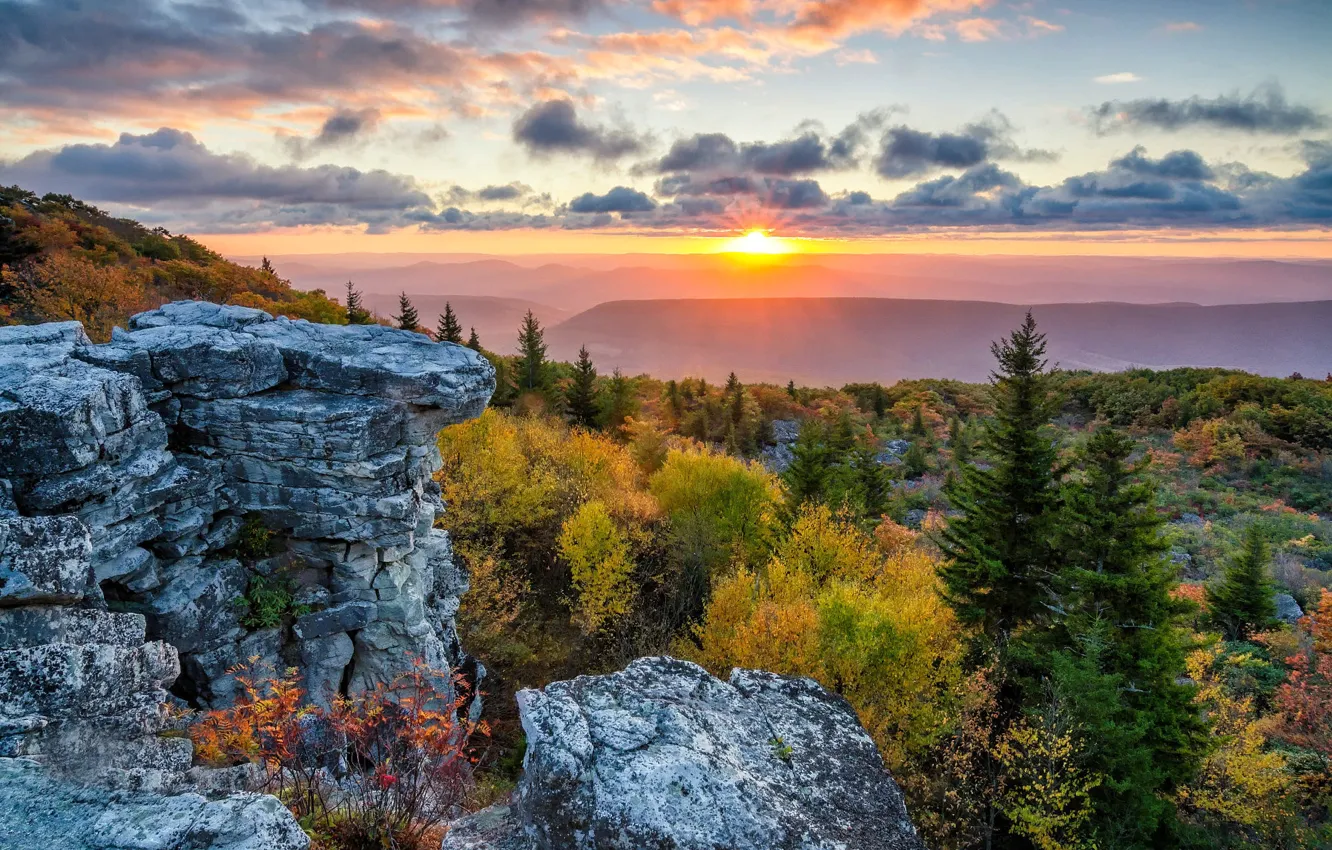 Photo wallpaper the sun, trees, landscape, mountains, nature, rocks, dawn, morning