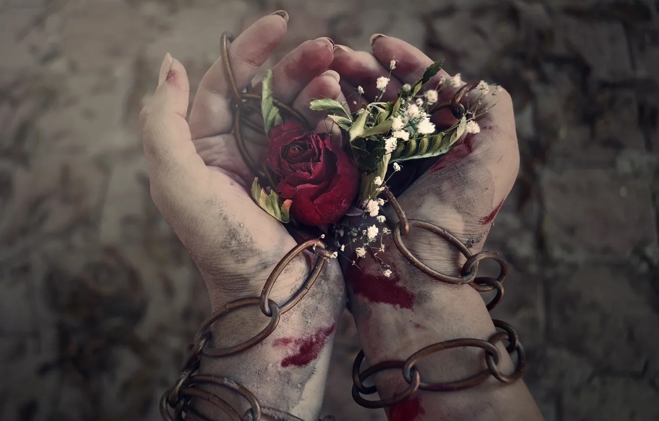 Photo wallpaper flowers, blood, dust, hands, chain