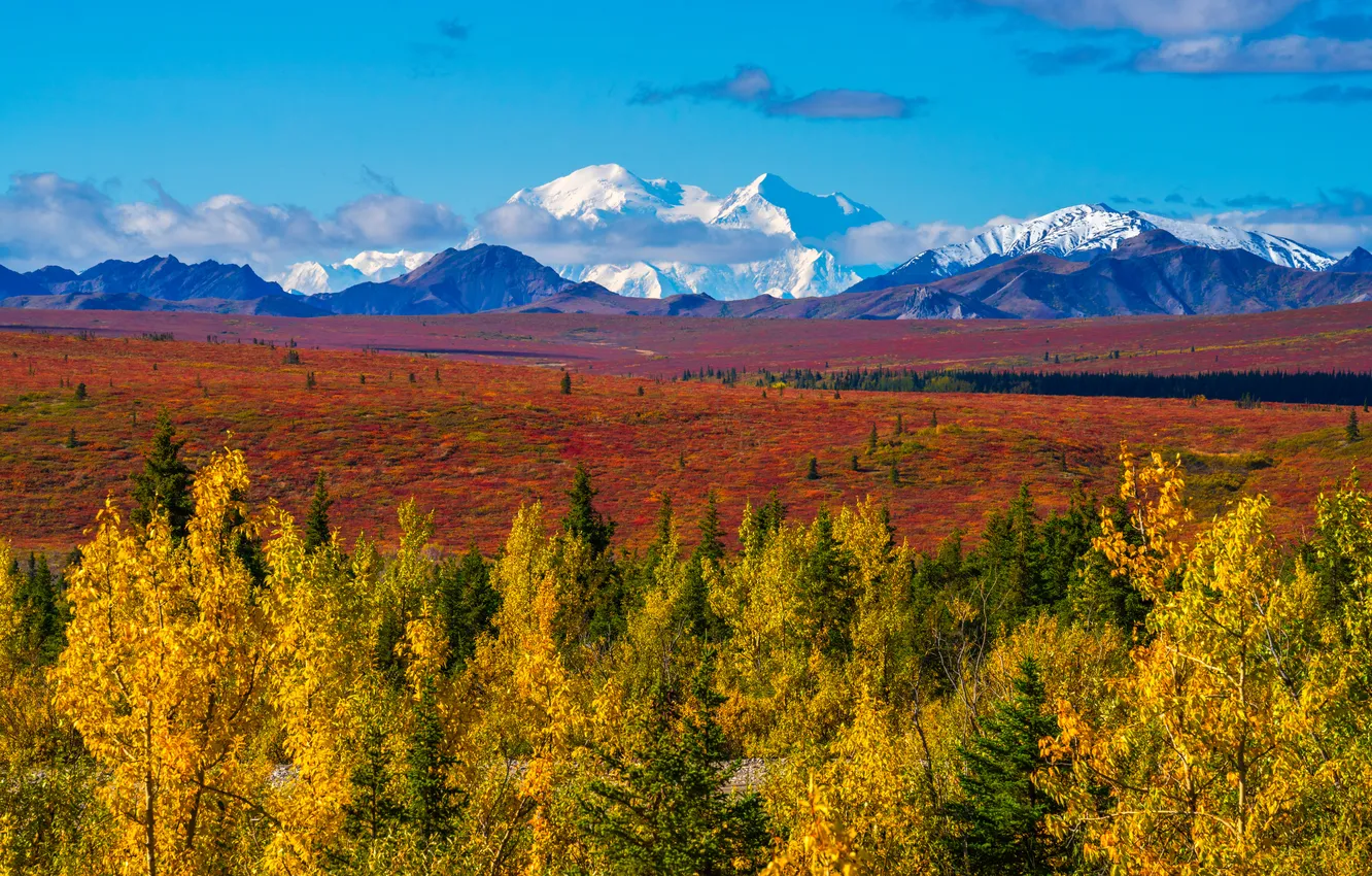 Photo wallpaper autumn, mountains, Park, USA, Denali National