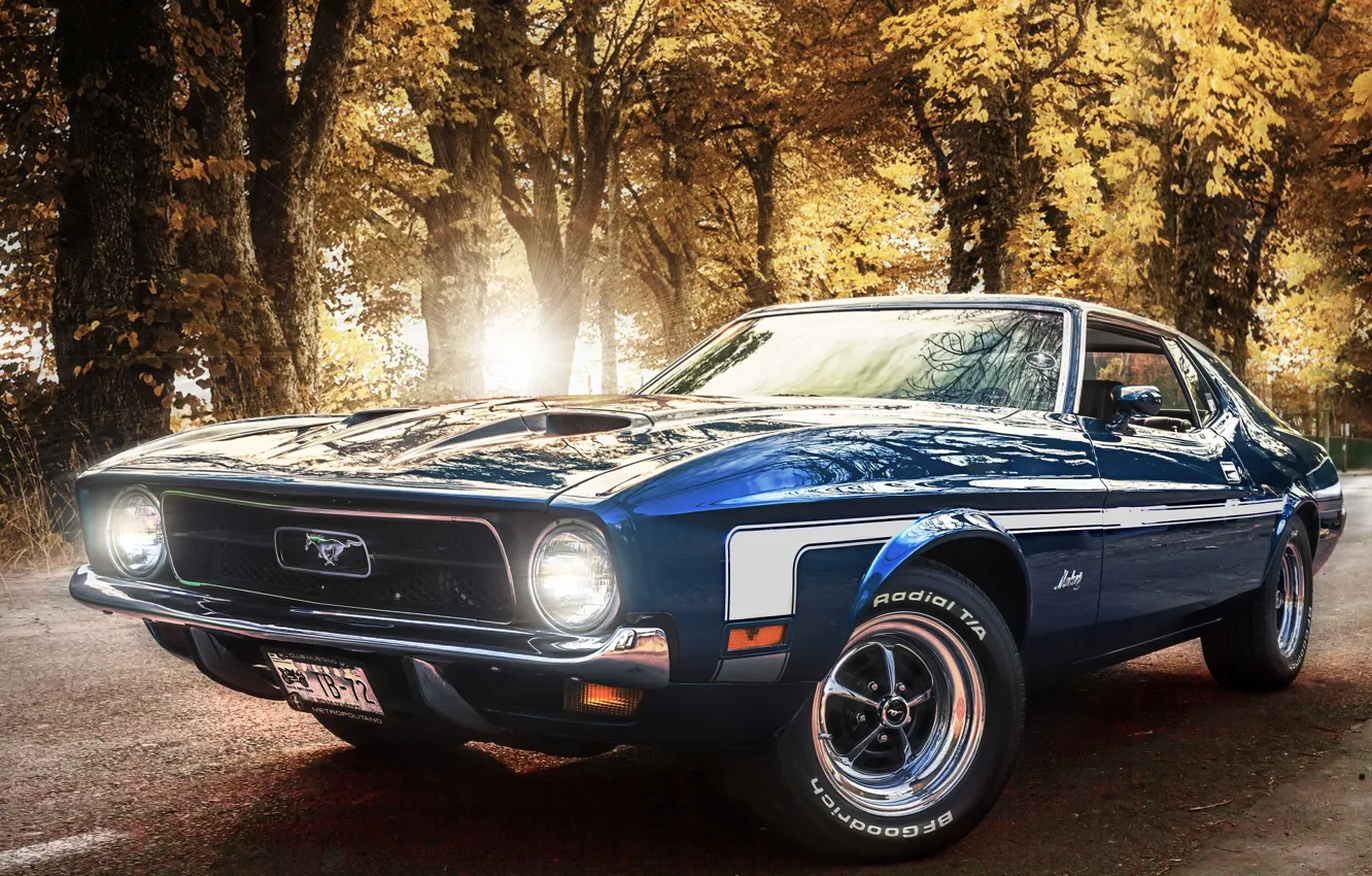 Photo wallpaper Mustang, Ford, Blue, Ford, 1971, Mustang, Mach 1, Muscle Car