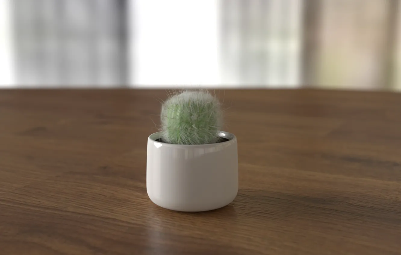 Photo wallpaper Minimalism, Pot, Cactus, cactus, rendering, cactus in a pot