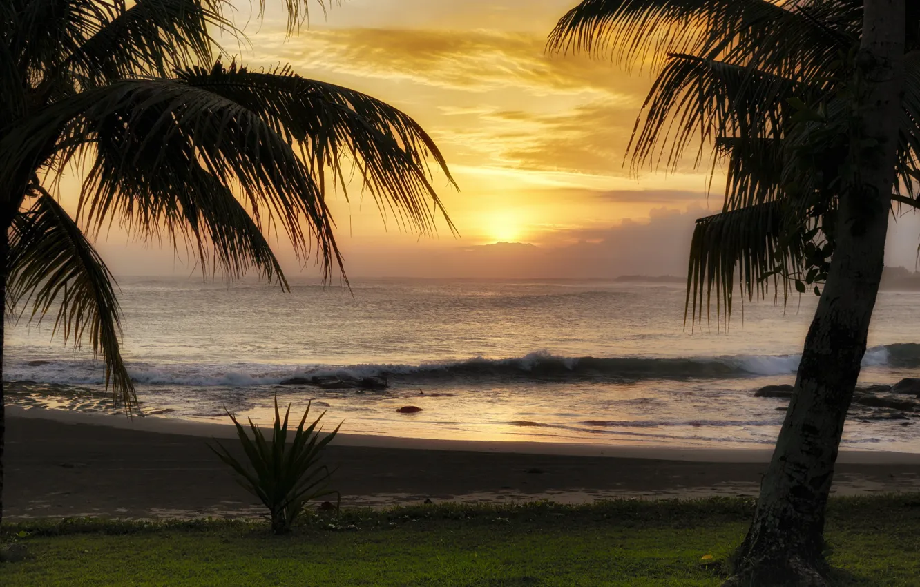 Photo wallpaper sea, water, sunset, nature, palm trees, Bali, Martin Fuhrmann