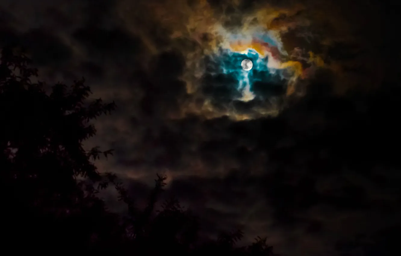 Photo wallpaper night, clouds, the moon