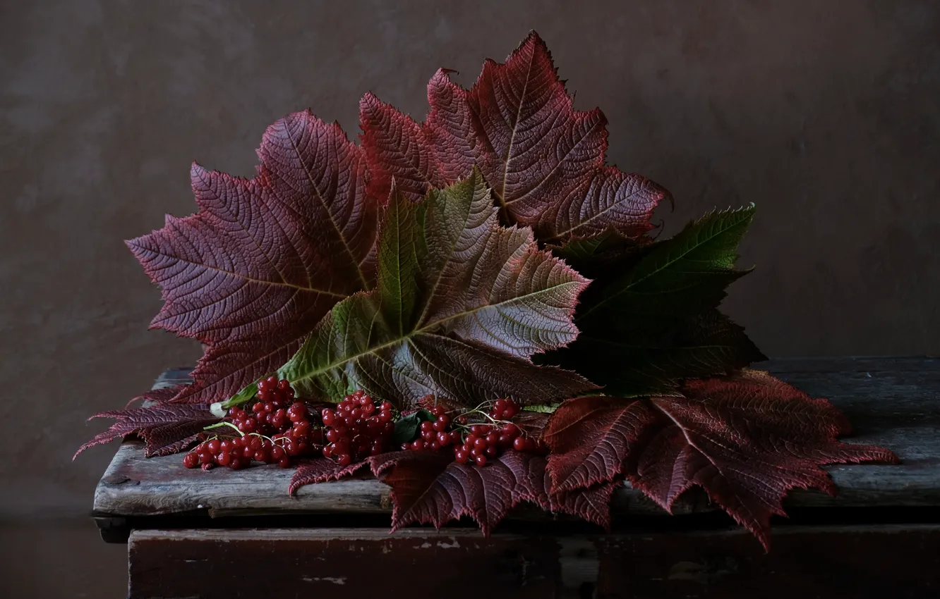 Photo wallpaper red, berries, table, wall, bouquet, old, still life, chest