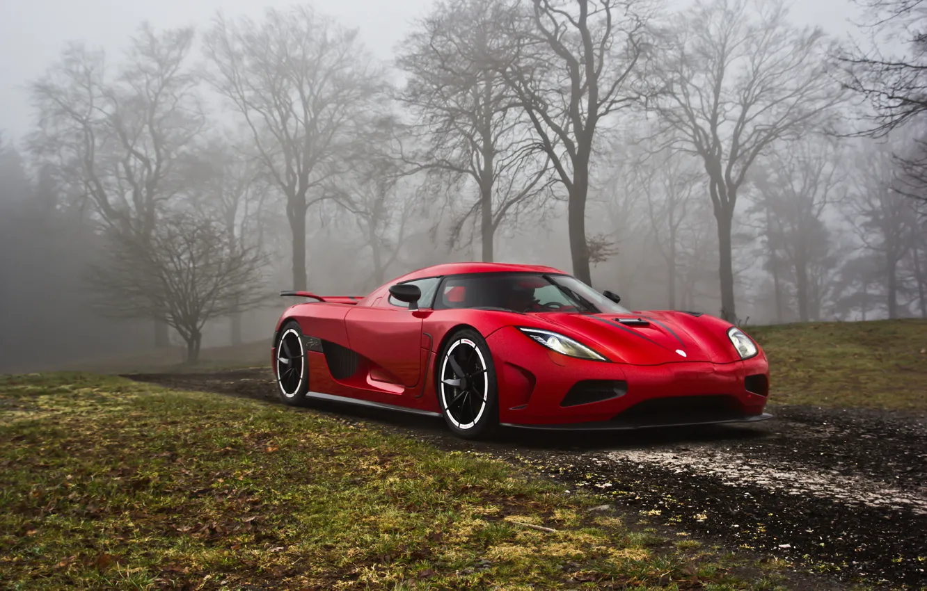 Photo wallpaper road, grass, trees, fog, Koenigsegg, AgeraR