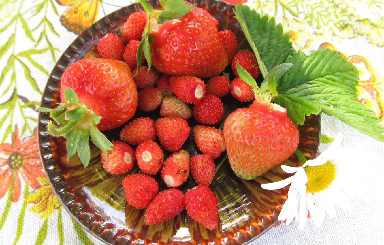 Photo wallpaper berries, strawberries, plate