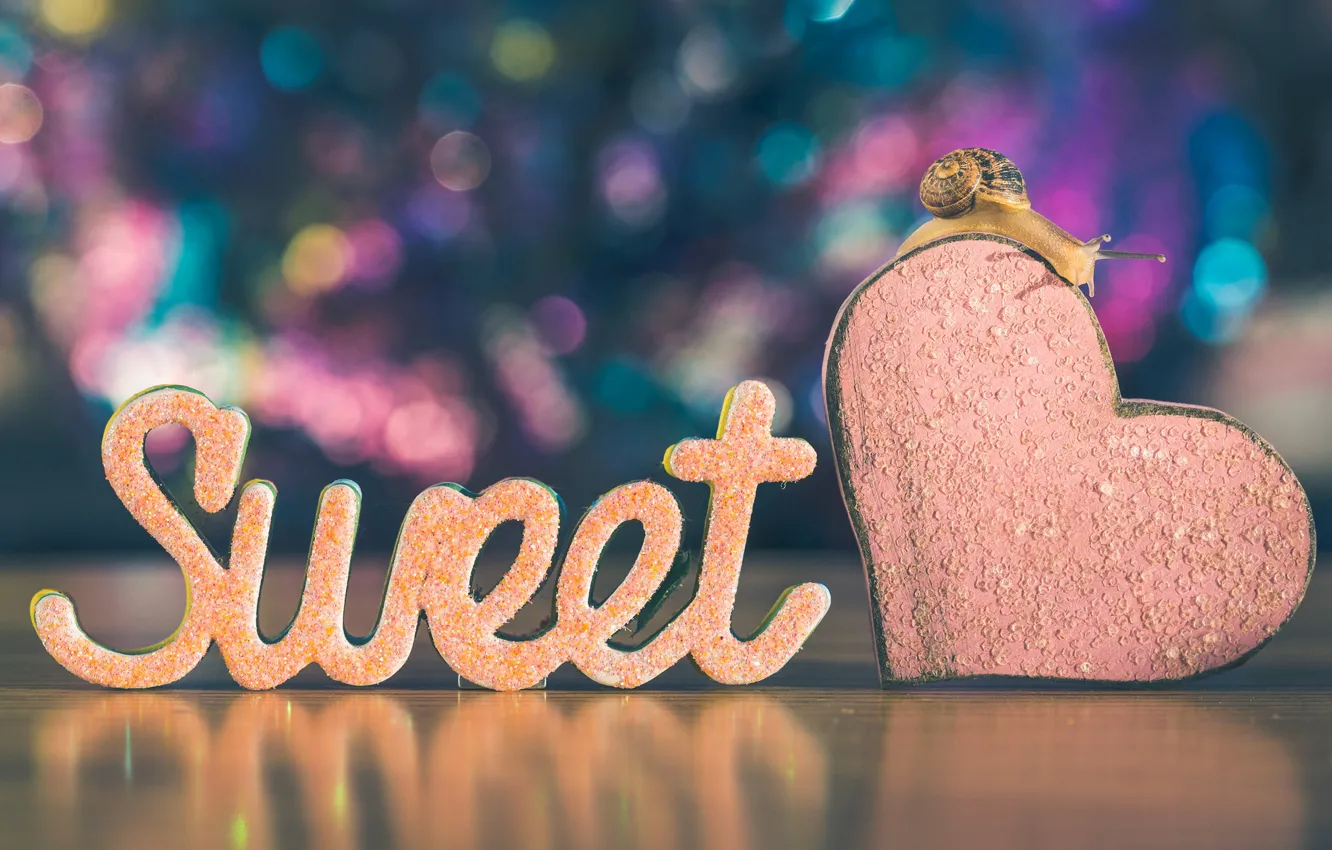 Photo wallpaper macro, love, reflection, letters, background, the inscription, heart, snail