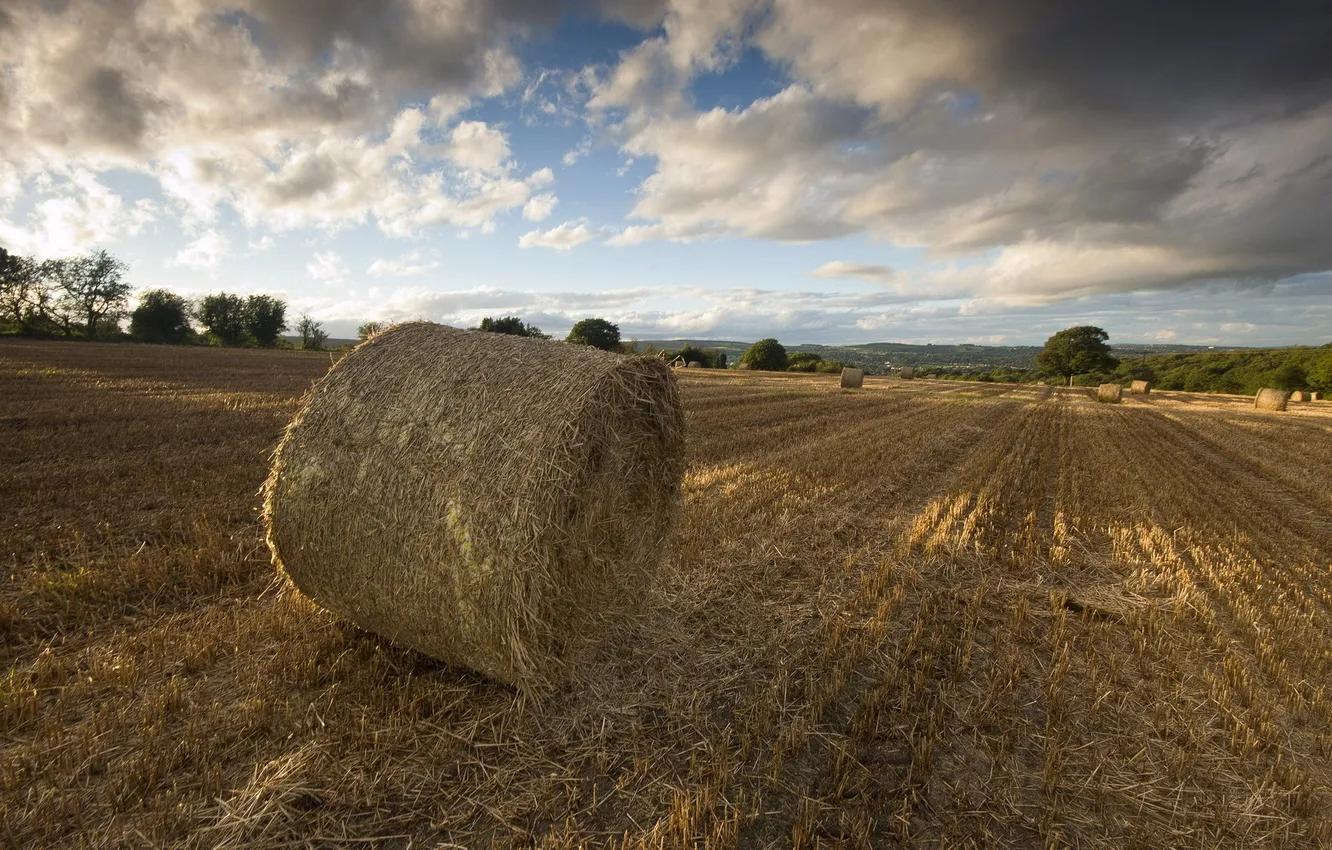 Photo wallpaper field, landscape, sunset, hay