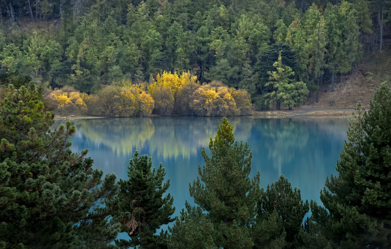 Photo wallpaper autumn, forest, lake