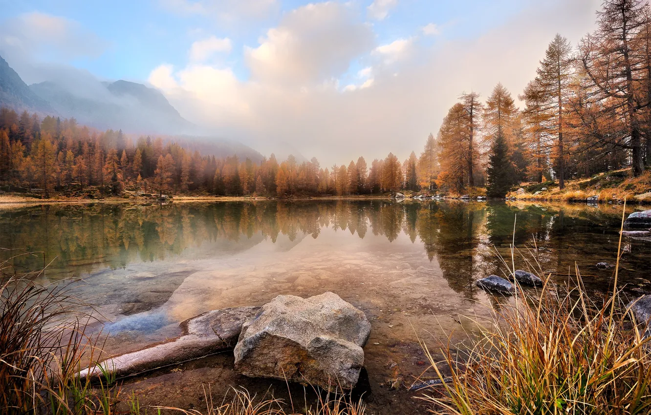 Photo wallpaper autumn, forest, the sky, grass, water, clouds, landscape, mountains