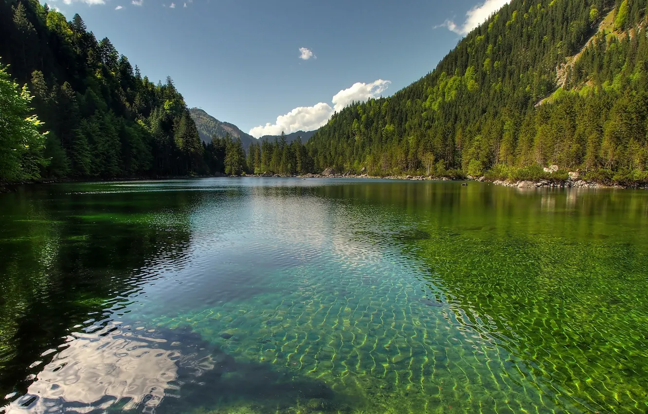 Photo wallpaper forest, mountains, lake, shore, the bottom, ruffle, ate