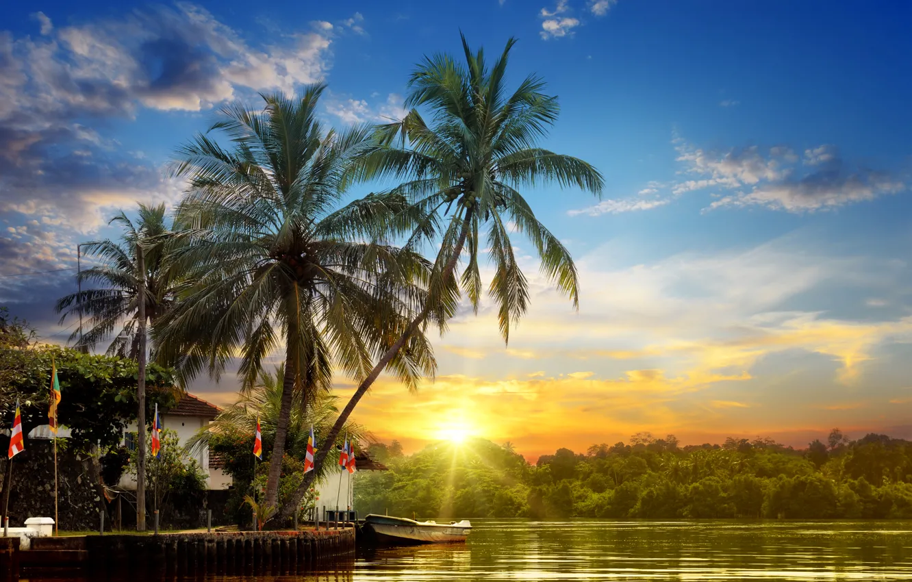 Photo wallpaper forest, the sky, the sun, clouds, rays, sunset, tropics, river
