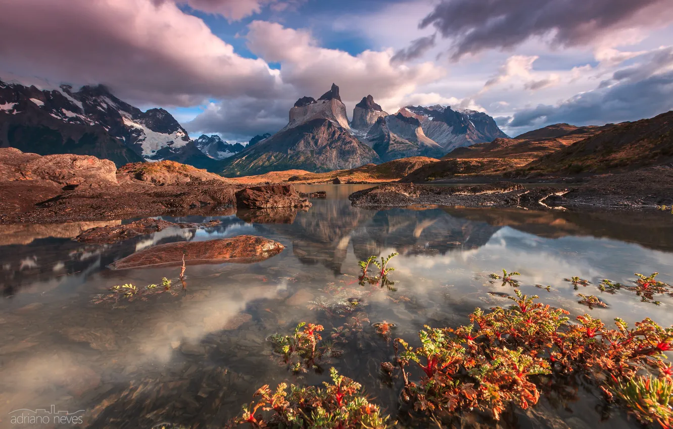 Photo wallpaper Chile, South America, Patagonia, February, the Andes mountains, Nordenskjöld Lake, national Park Torres del Paine