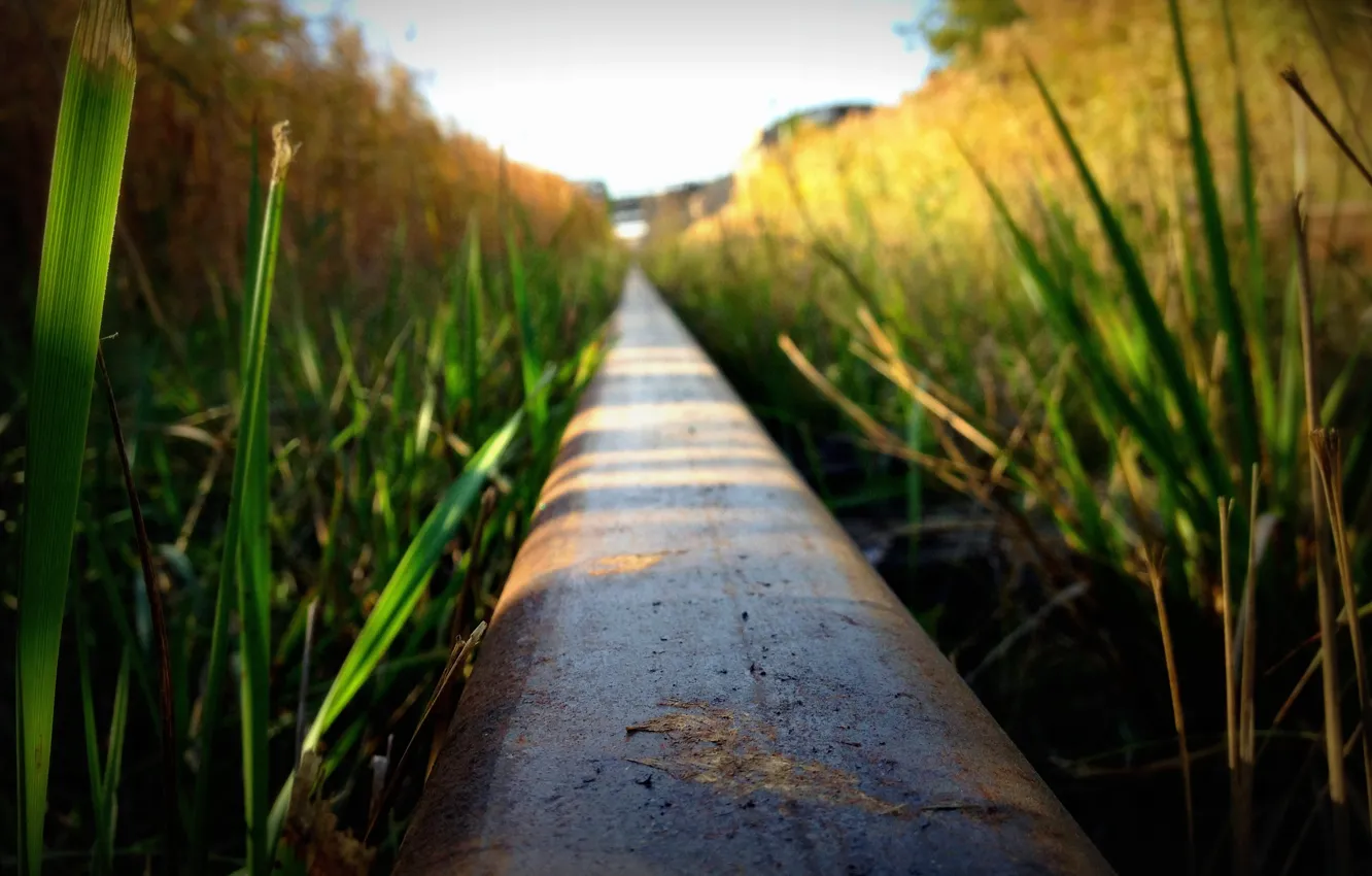 Photo wallpaper grass, rails, railroad
