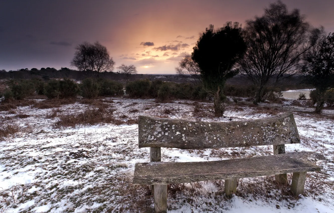 Photo wallpaper field, sunset, bench