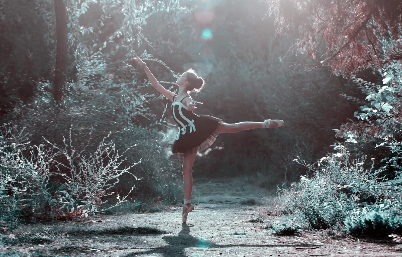 Photo wallpaper summer, trees, pose, grace, summer, ballerina, gesture, trees