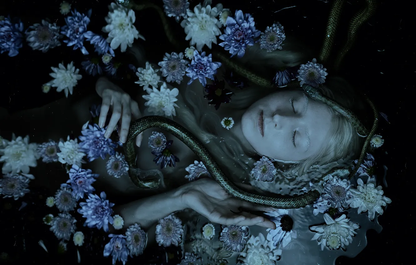 Photo wallpaper water, girl, flowers, face, the dark background, fear, snake, hands