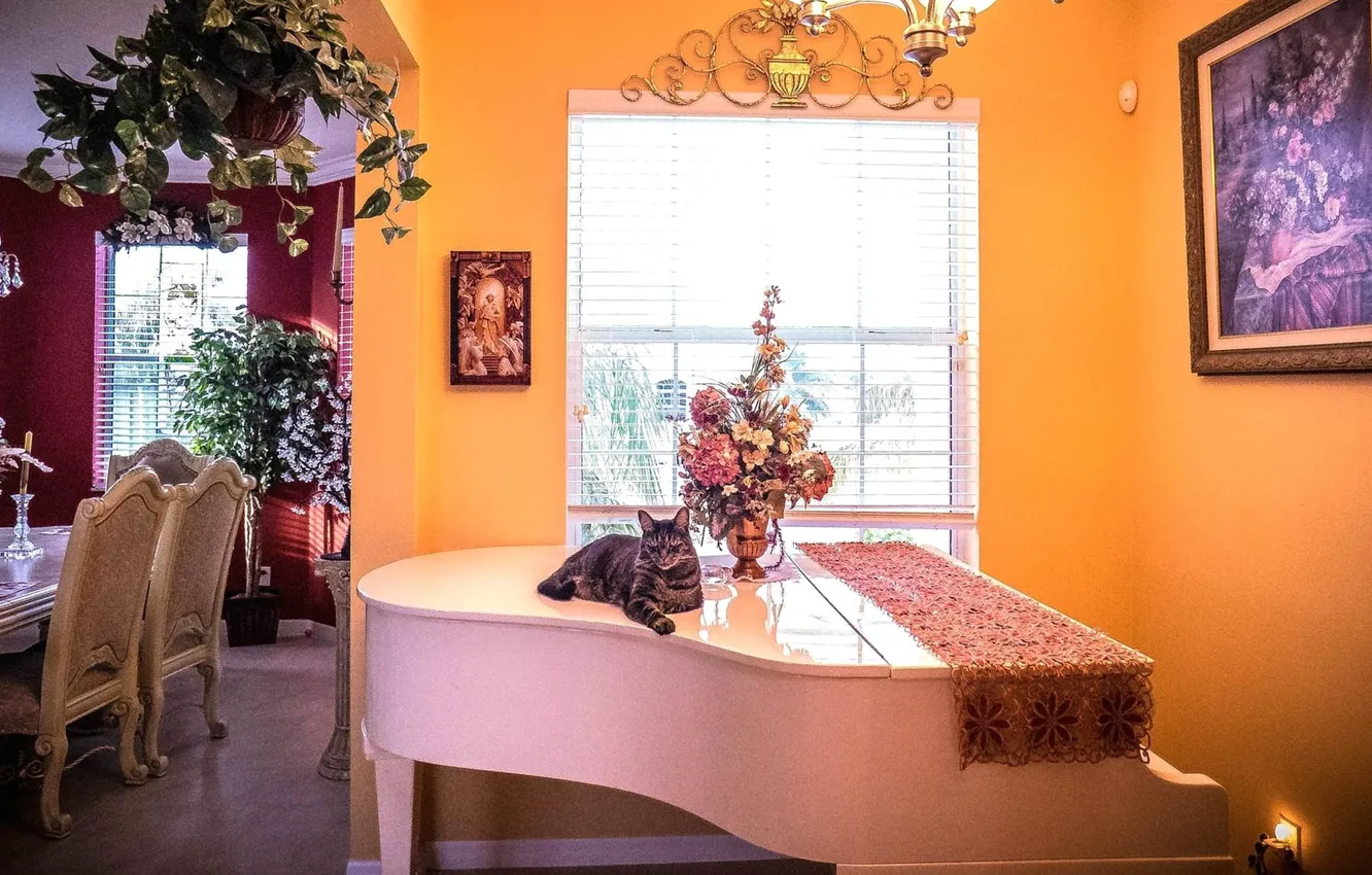 Photo wallpaper design, style, interior, piano, dining room