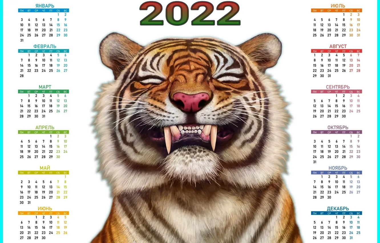 Photo wallpaper calendar, saver, 2022