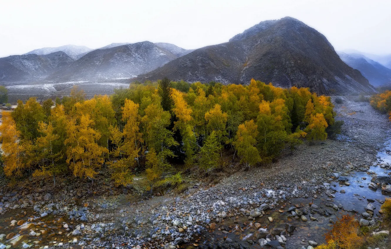 Photo wallpaper autumn, forest, river