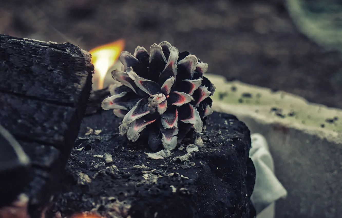 Photo wallpaper lights, ash, grey, flame, black, the fire, coal, bumps