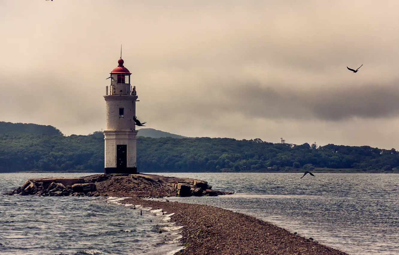 Photo wallpaper sea, beach, summer, lighthouse, seagulls, braid, Cape, Vladivostok
