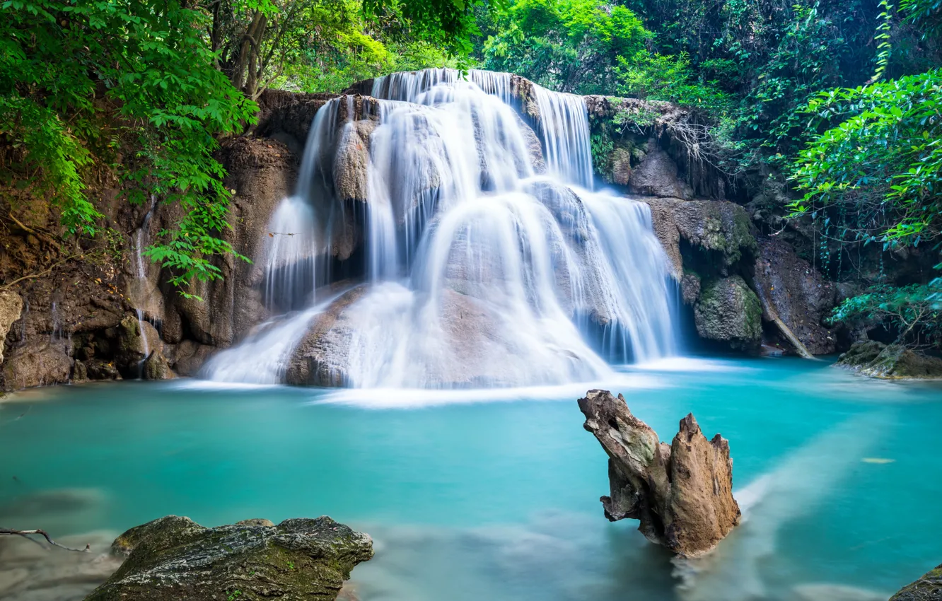 Photo wallpaper forest, river, waterfall, forest, river, landscape, waterfall, emerald
