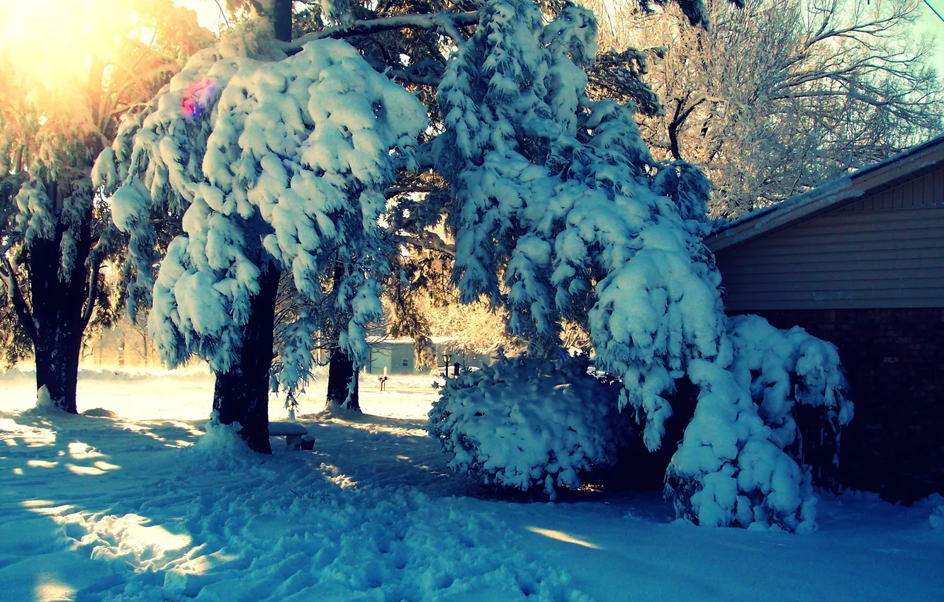 Photo wallpaper winter, rays, snow, trees, landscape, nature, house, yard