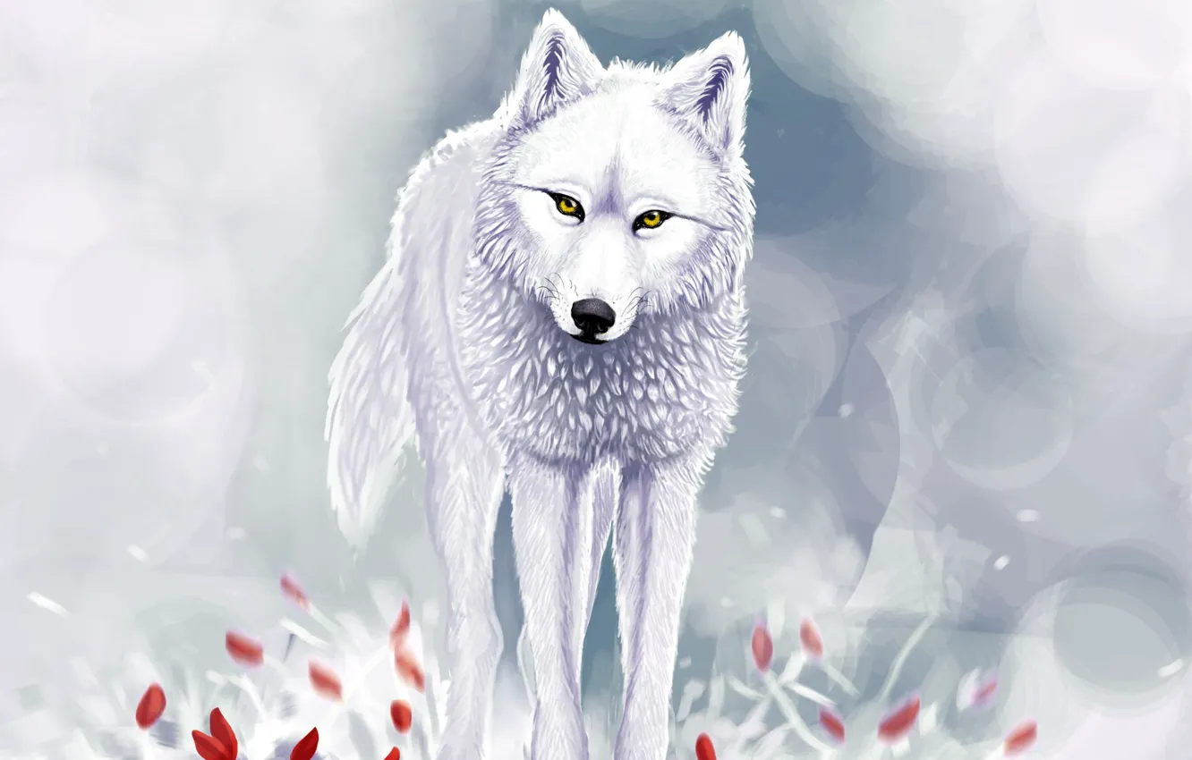 Photo wallpaper winter, snow, red flowers, white wolf