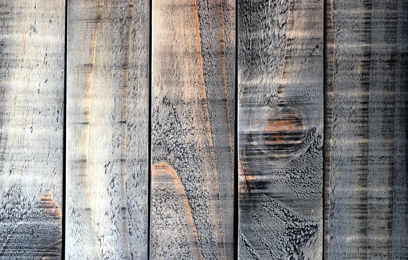 Photo wallpaper trees, Board, texture