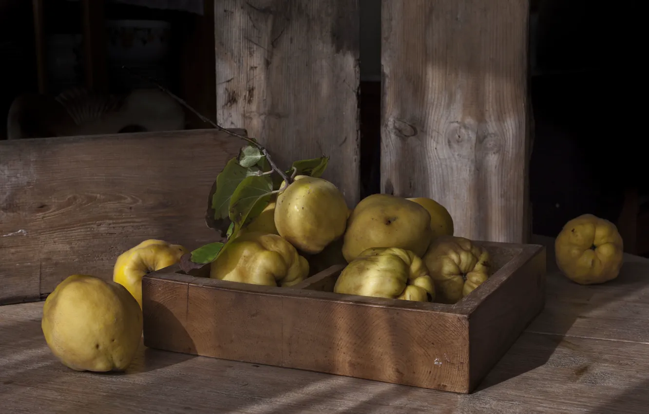 Photo wallpaper background, fruit, quince