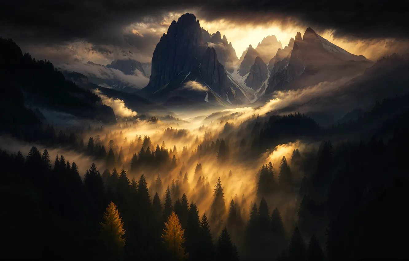 Photo wallpaper forest, light, mountains, clouds, nature, fog, rocks, tops
