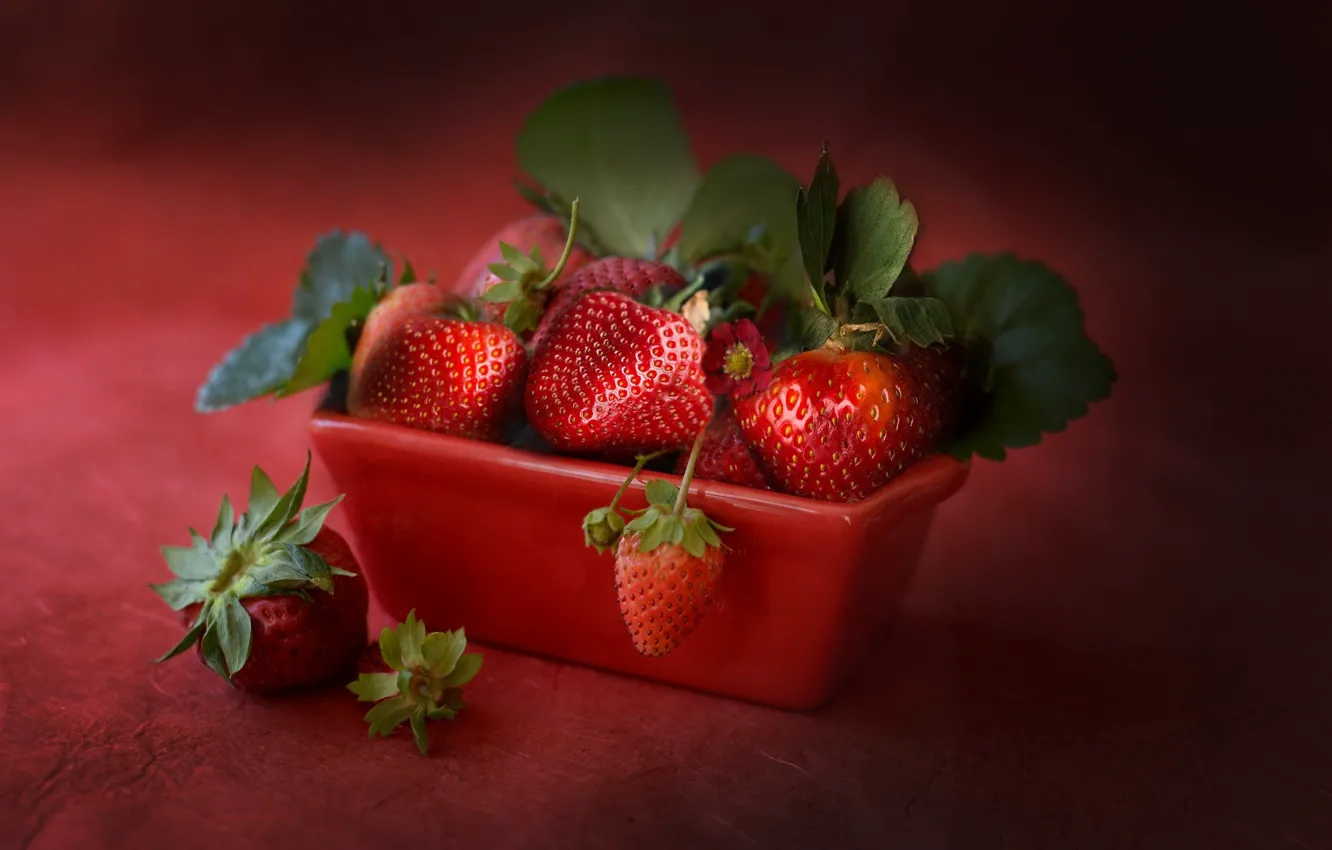 Photo wallpaper strawberry, berry, ripe, juicy