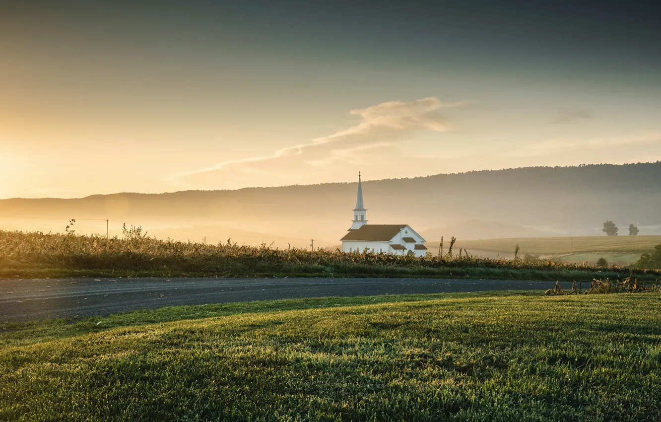 Photo wallpaper road, field, forest, fog, morning, Church, haze