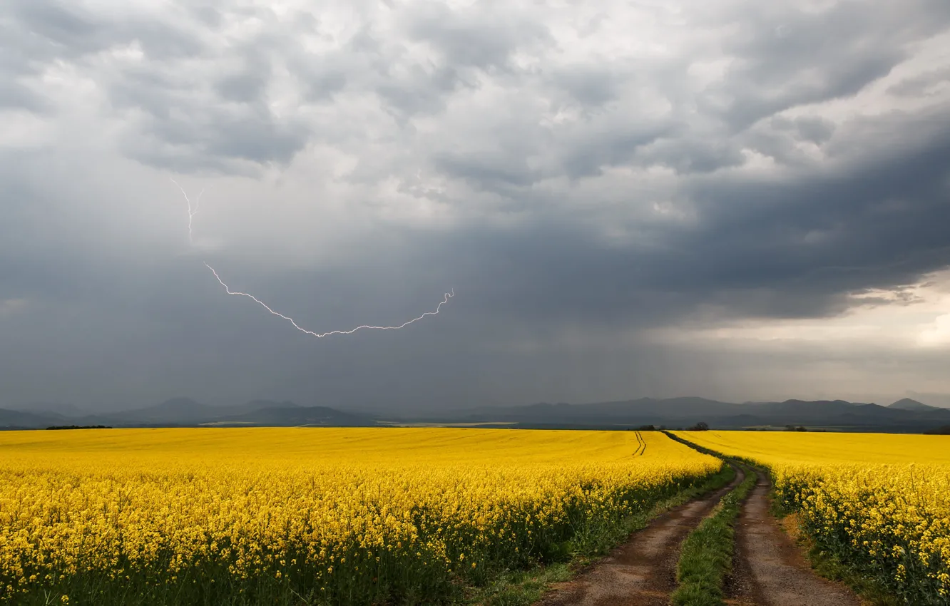 Photo wallpaper road, the storm, the sky, clouds, lightning, rape, rapeseed field