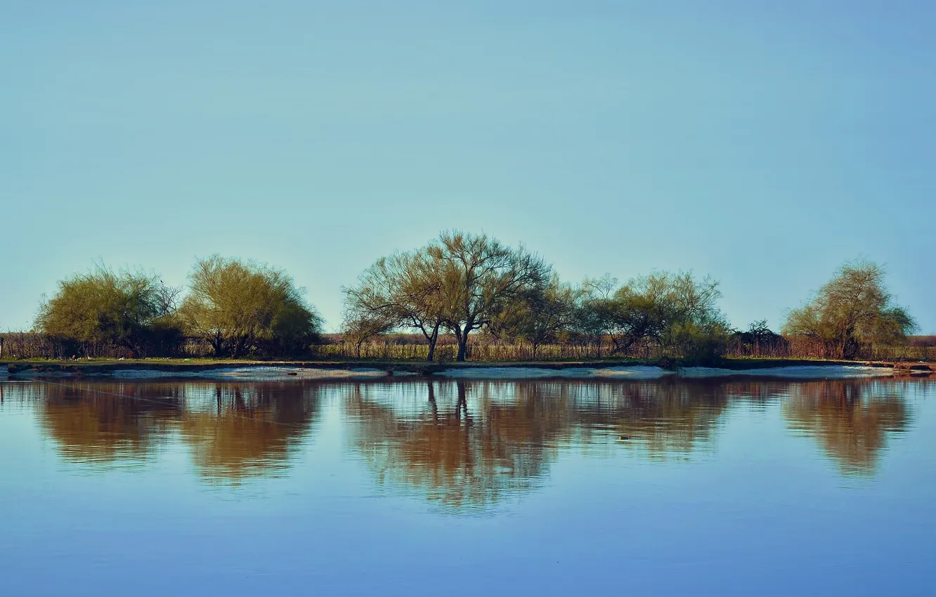 Photo wallpaper trees, reflection, river, sky