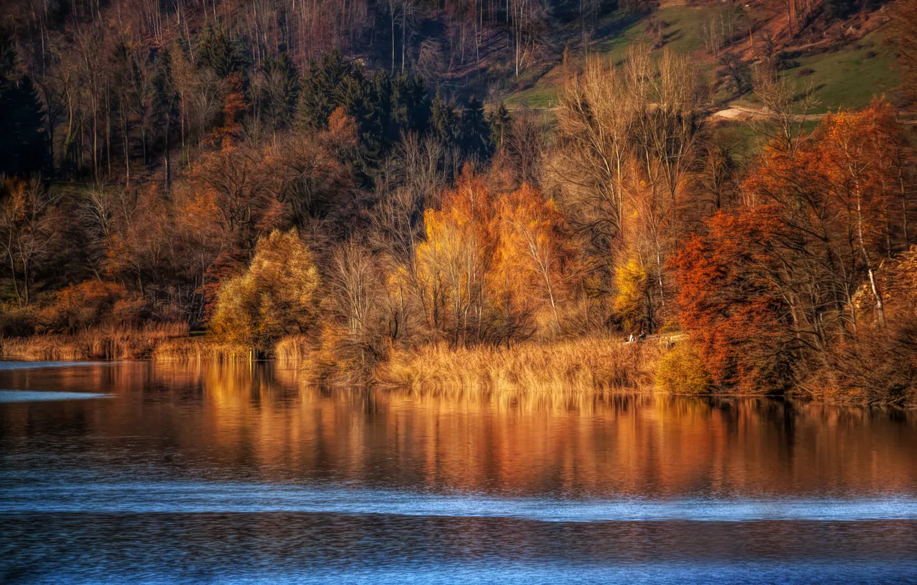 Photo wallpaper autumn, river, treatment
