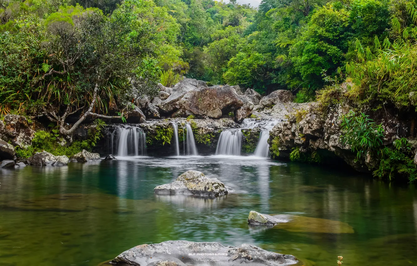 Photo wallpaper greens, forest, trees, stream, stones, France, waterfall, Reunion
