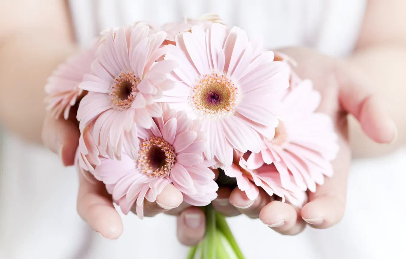 Photo wallpaper flowers, plants, hands, pink