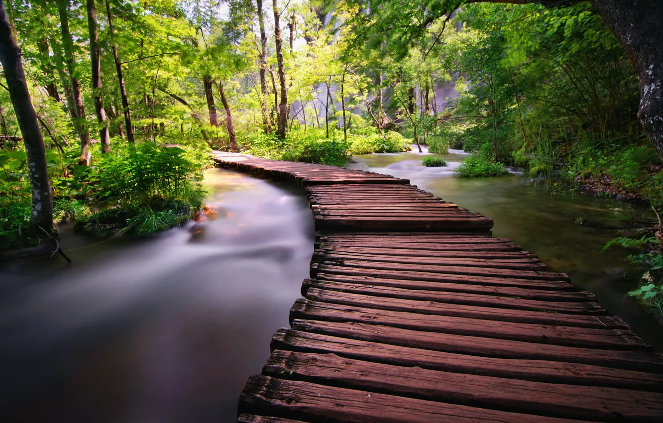 Photo wallpaper bridge, nature, river