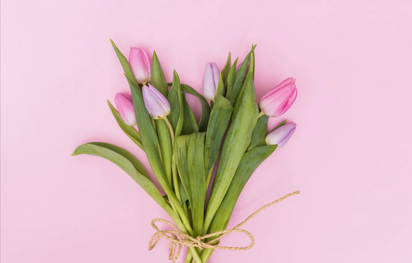 Photo wallpaper flowers, bouquet, tulips, pink, fresh, wood, pink, flowers