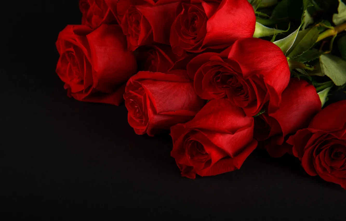 Photo wallpaper flowers, roses, bouquet, red, red, buds, flowers, romantic