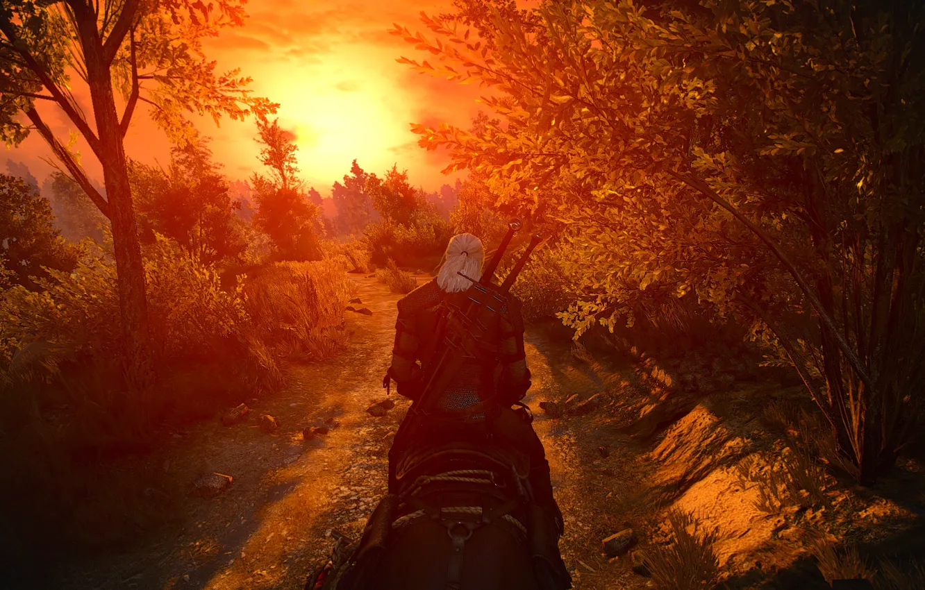 Photo wallpaper Sunset, The Witcher, Sunset, Witcher, The Witcher 3 Wild Hunt, Witcher 3 Wild Hunt, White …