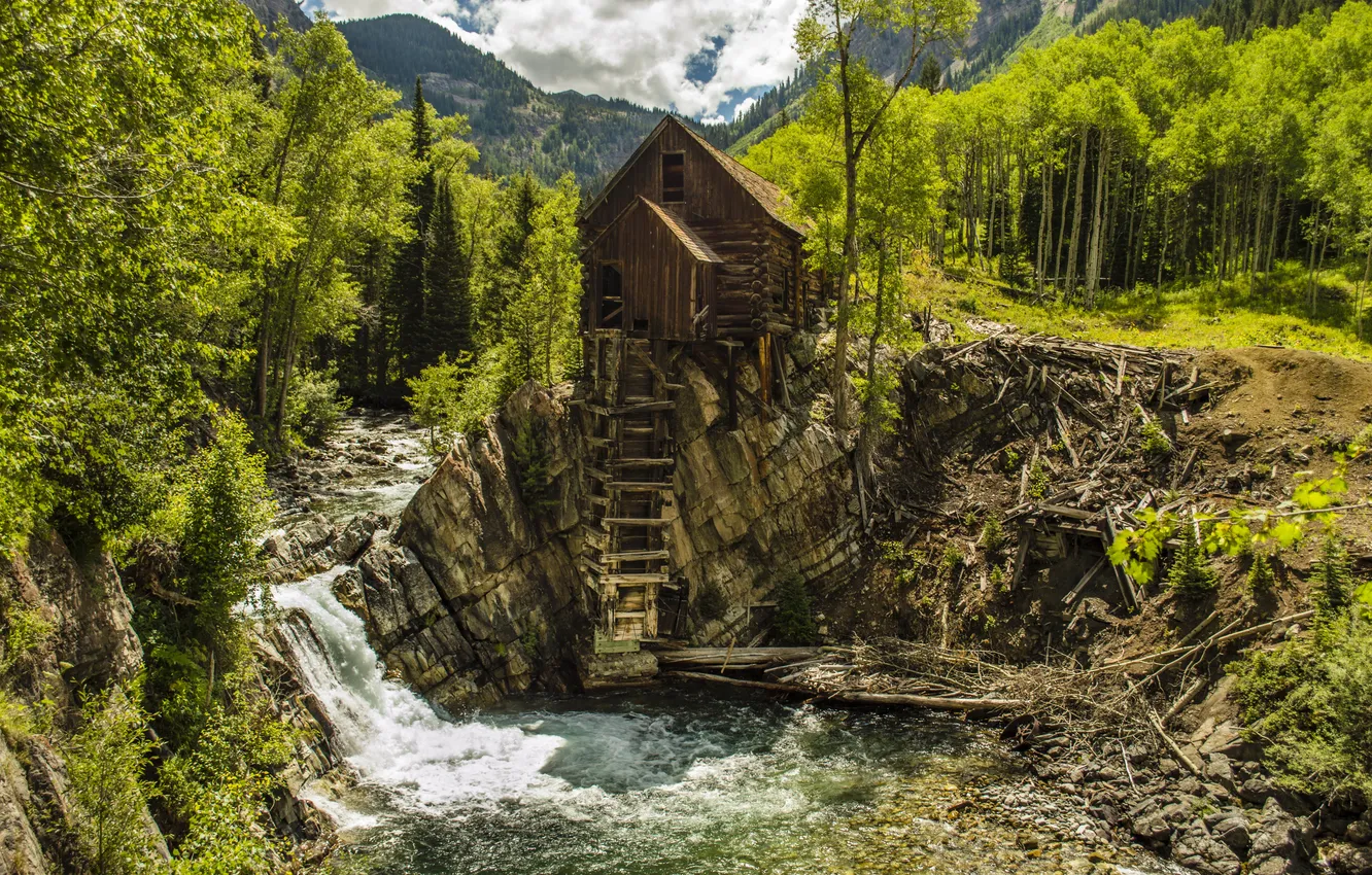 Photo wallpaper forest, trees, mountains, stones, for, waterfall, construction, USA