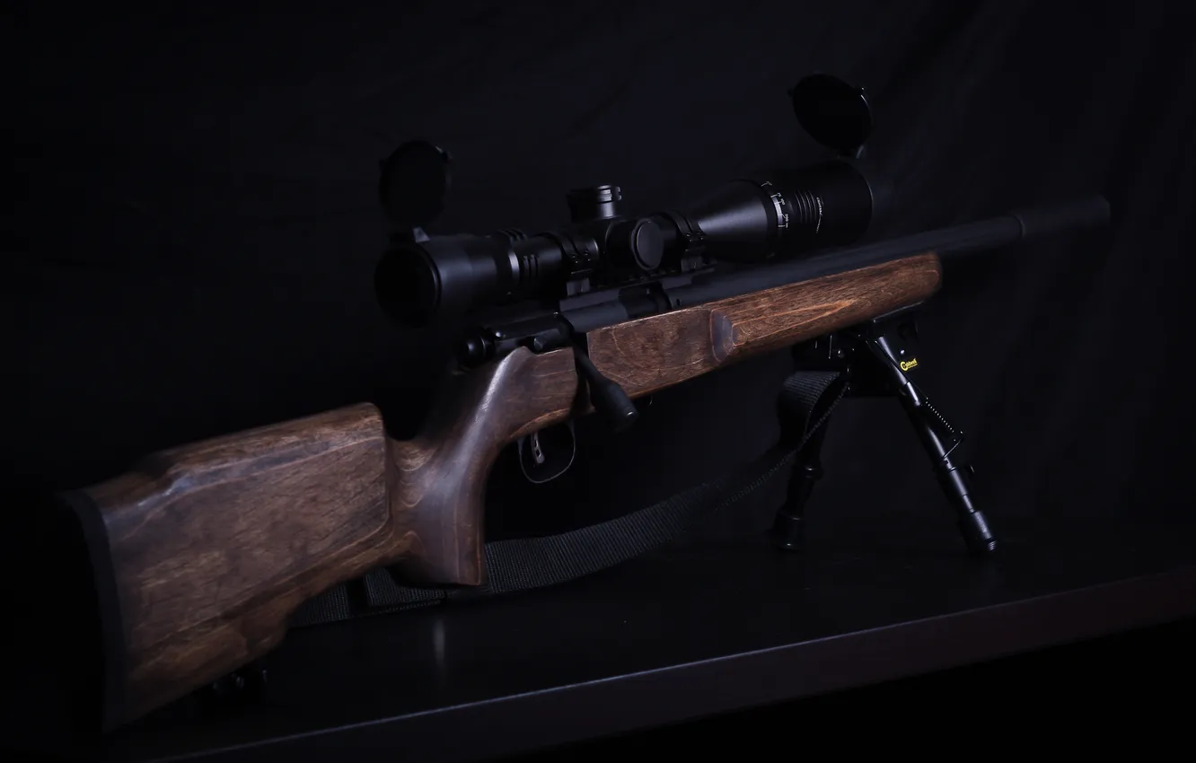 Photo wallpaper weapons, rifle, sniper, Savage Mk II, FV-SR