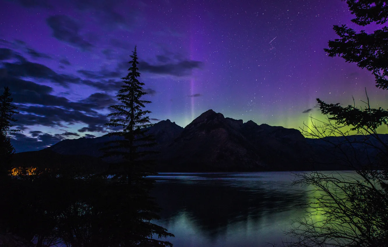 Photo wallpaper forest, night, lake, mountain, Northern lights, Banff National Park, Alberta, Canada