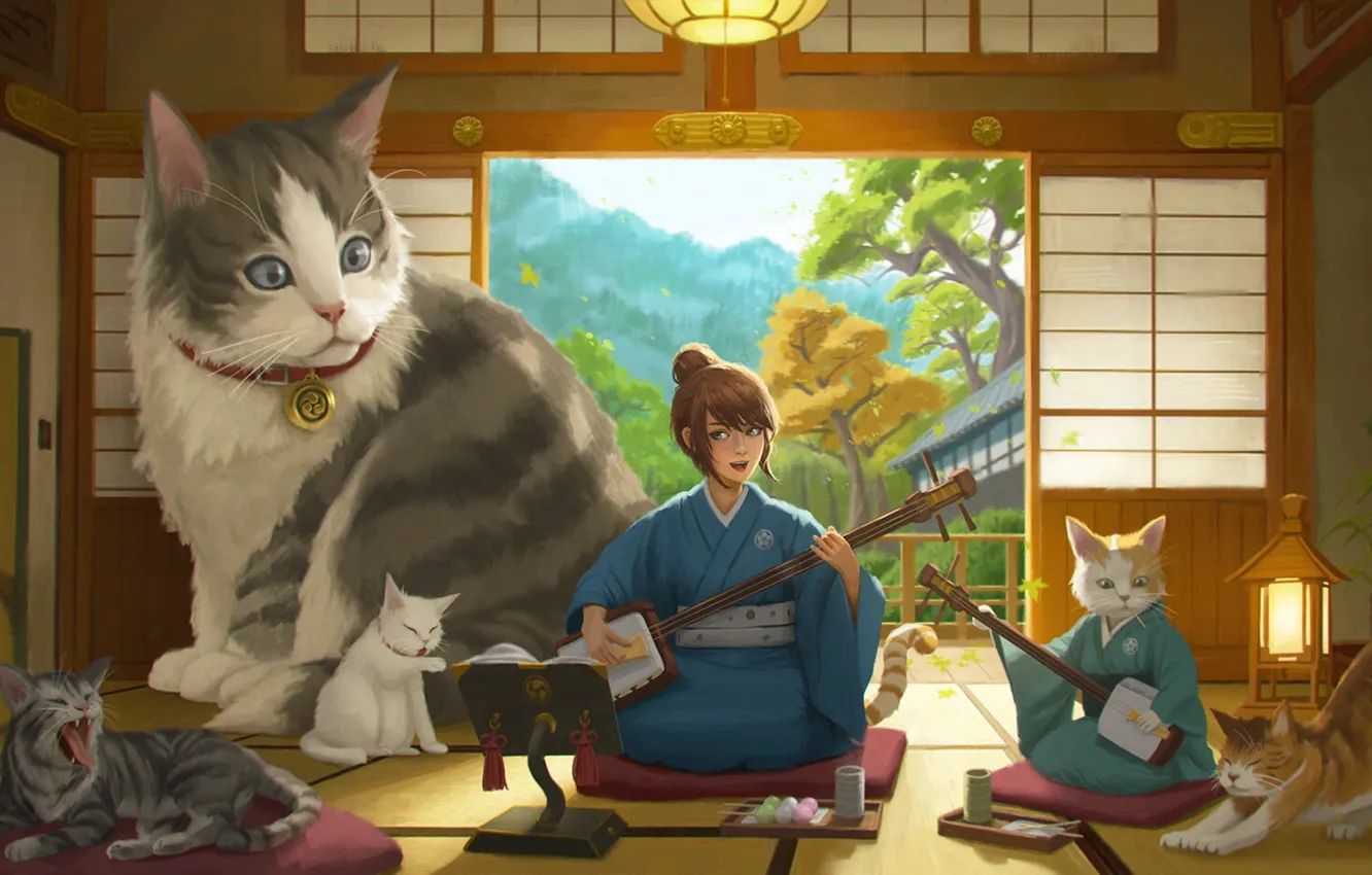 Photo wallpaper cat, girl, home, surprise, girl, house, musical instruments, cats