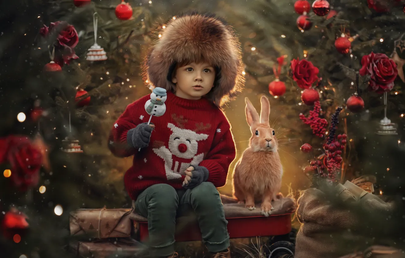 Photo wallpaper decoration, animal, holiday, toys, new year, boy, rabbit, tree