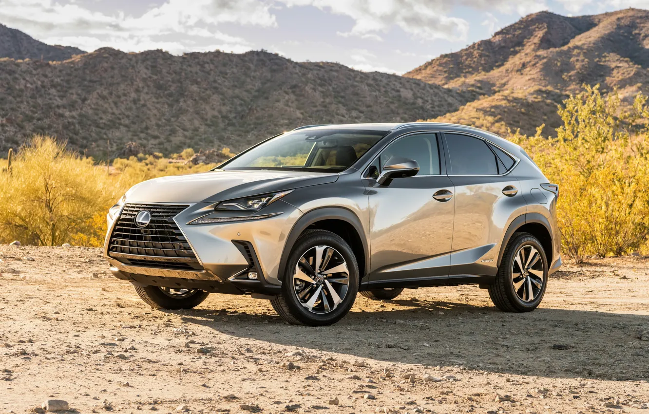 Photo wallpaper 2018, crossover, 300h, Lexus NX